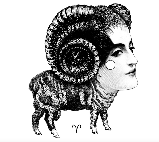 01-ARIES-Carolina-Espinosa.png