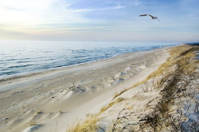 Curonian-Spit-National-Park-Lithuania-740x492.jpg