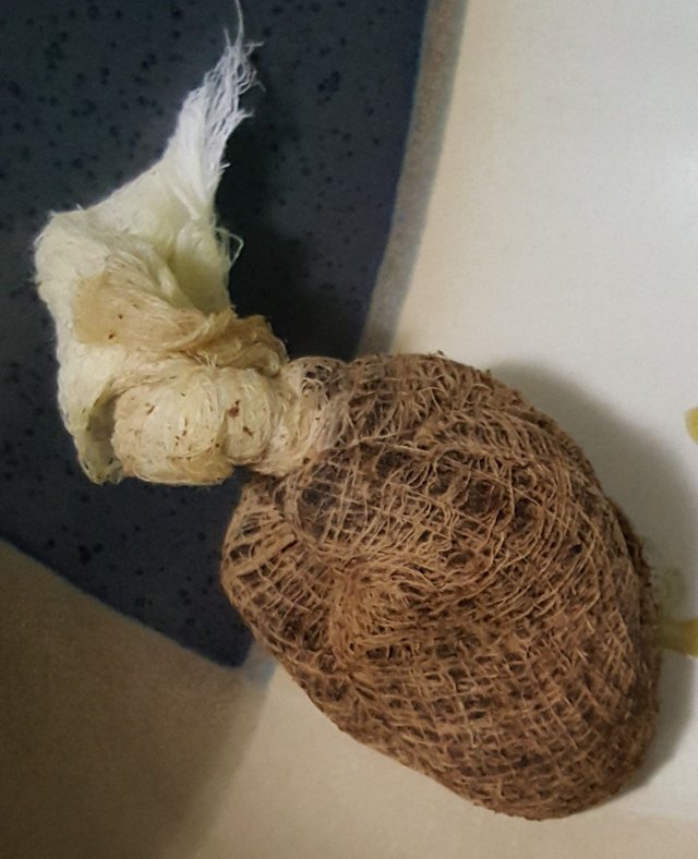 20180414_173410.jpg