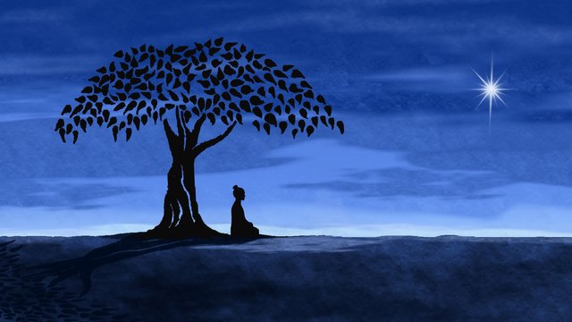 meditating-tree.jpg