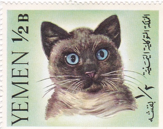 yemen-stamp-collection-felipesuarez.jpg