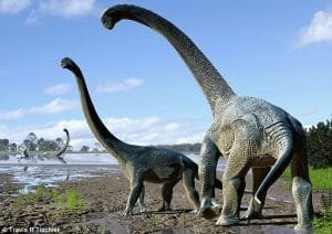 savannasauraus-dinosaure-1-300x212.jpg