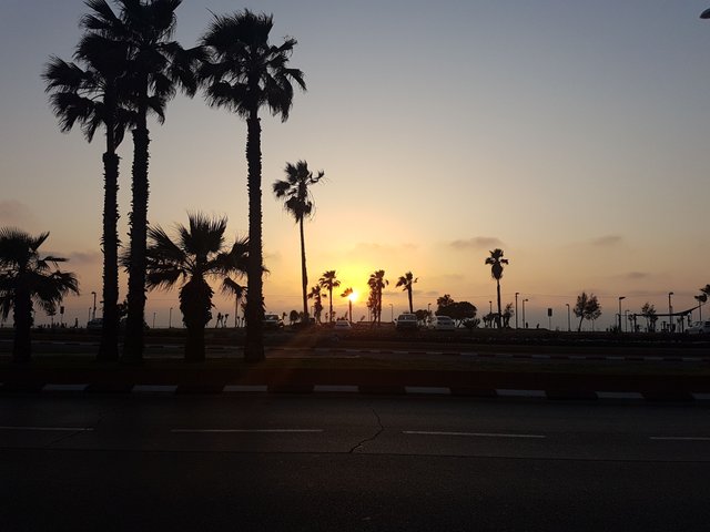 20180429_190155.jpg