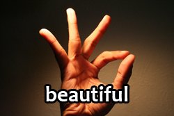 2025-social-comment-beautiful-hand.jpg