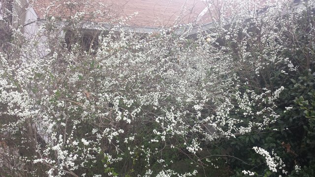 20180318_134335.jpg