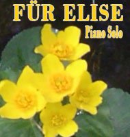 Fur-Elise-PSCover.jpg