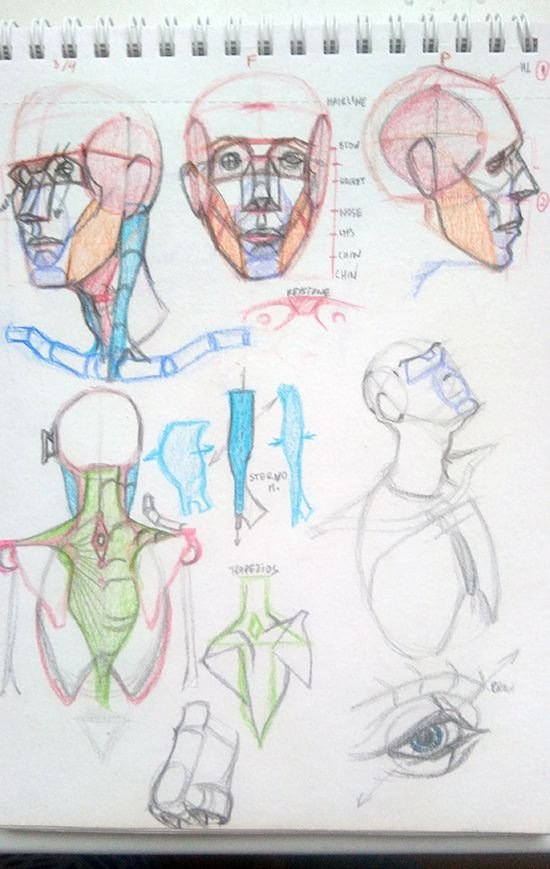 sketch4.jpg