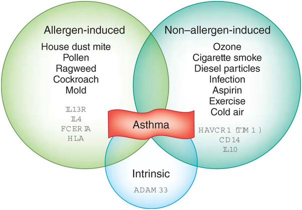 Types_Of_Asthma.png