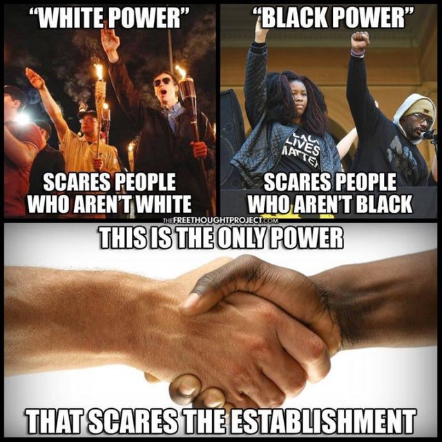 power scares establishment black white unity.jpg