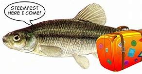 steemit minnow.jpg