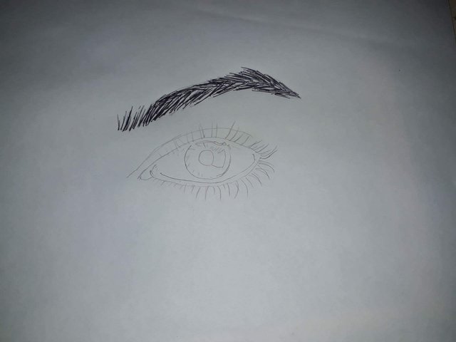 received_1649296665108555.jpeg