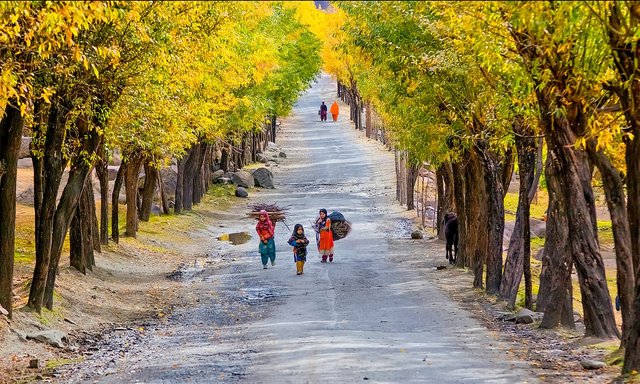 Road-to-Skardu..jpg