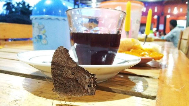 kupu-kupu2.jpg