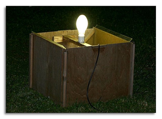 Backyard-mothtrap.jpg