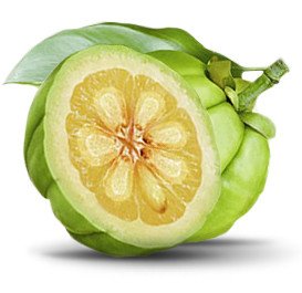 garcinia-cambogia-image.jpg