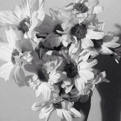 flowers.jpeg
