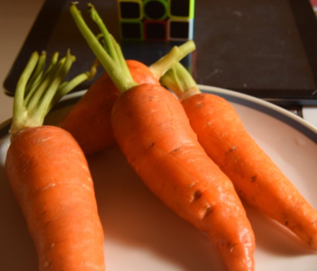 carrot.jpg