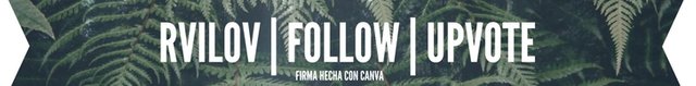 !firma hecha con canva!.jpg