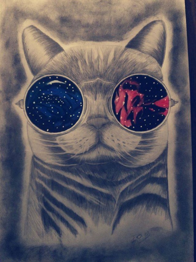 el gato hipster.jpg