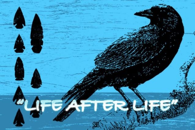 Life After Life_svq.jpg