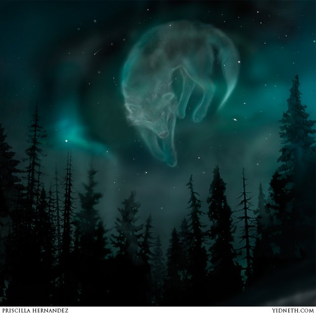 Northern Lights - by Priscilla Hernandez (yidneth.com).jpg