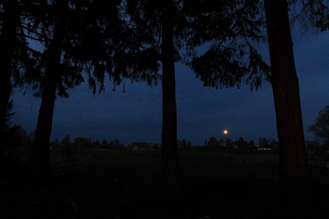 IMG_280.jpg