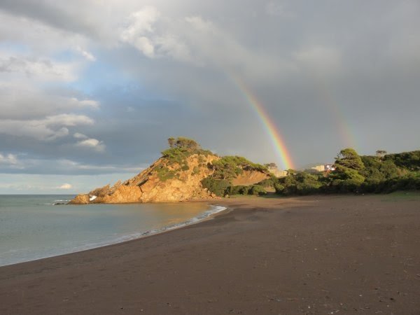 tipaza plage de gouraya.jpg