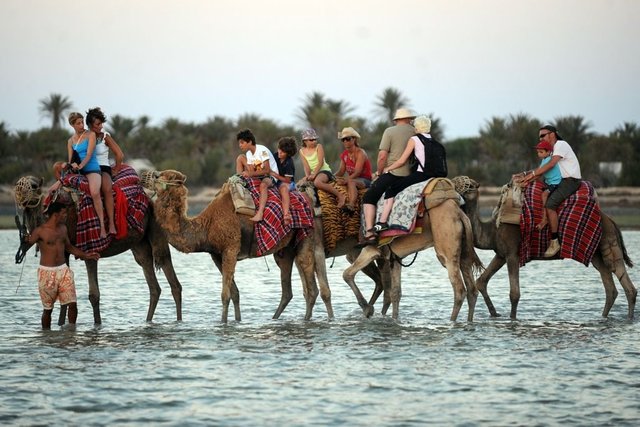 tunisia-tourism-camels-2011-3-24.jpg