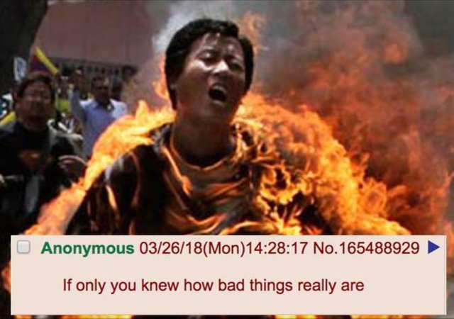 1522601225696.jpg