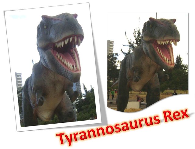 Tyrannosaurus 1.JPG