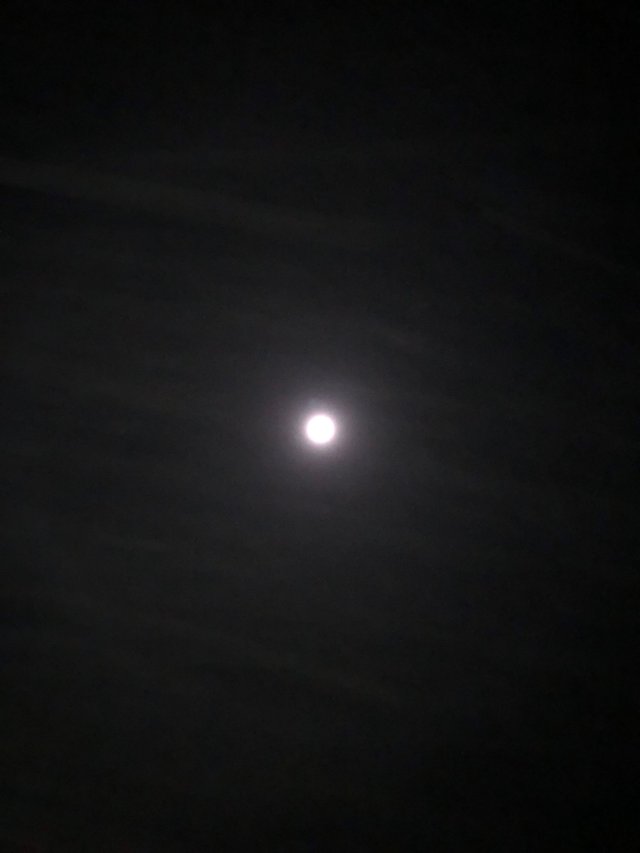 0C4E53DF-752A-4C17-9340-72F7F49DB616.jpeg