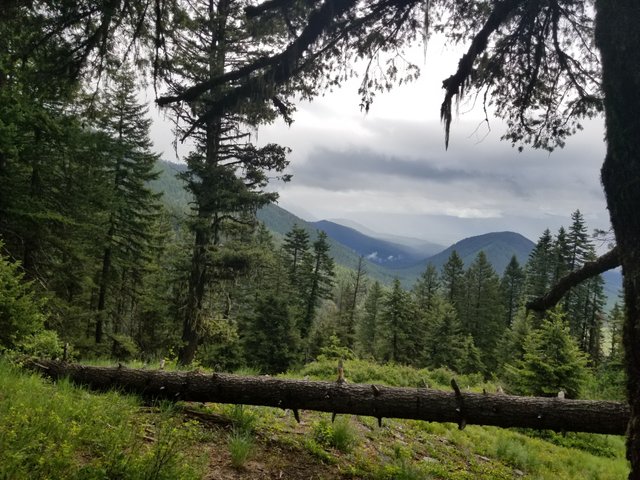 20170610_122035.jpg