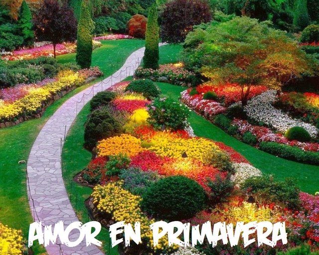 jardin-con-flores--.jpg