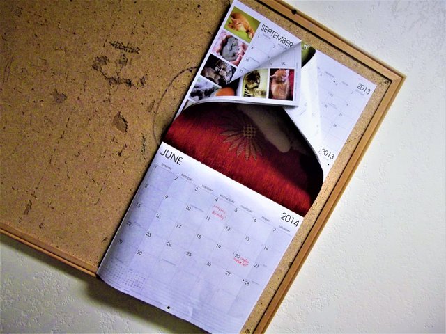 Calendar.JPG