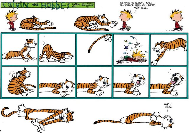 calvin-and-hobbes-conscious-sleep-large.jpg