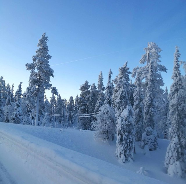 Beautiful Winter Morning Photography in Steemit Blog