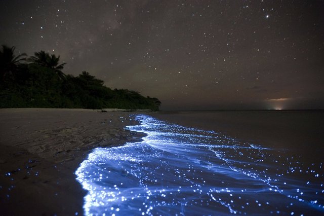 Mar-de-Estrellas-Isla-Vaadhoo-Maldivas1.jpg