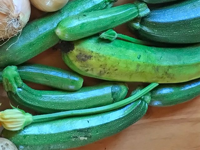 zucchine.jpg