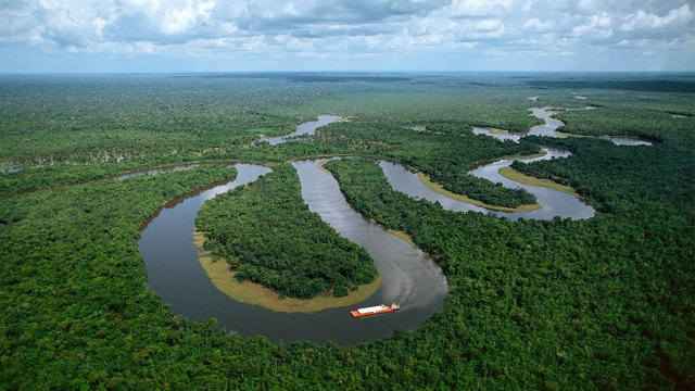 Manaus, Brazil.jpg