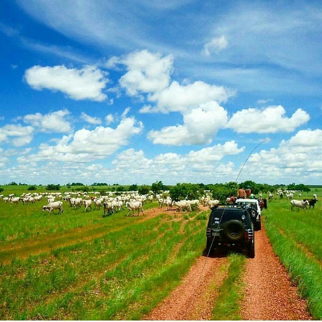 ecoturismo4x4vzla-1519890947874.jpg