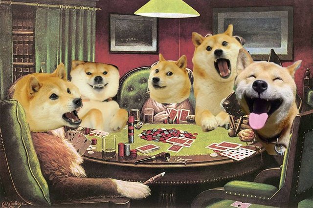 doges.jpg