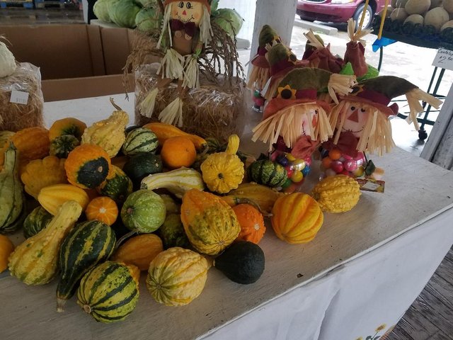gourds.jpg