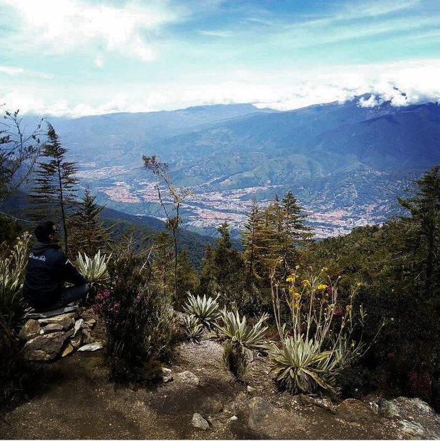 PARQUE NACIONAL SIERRA NEVADA.jpg