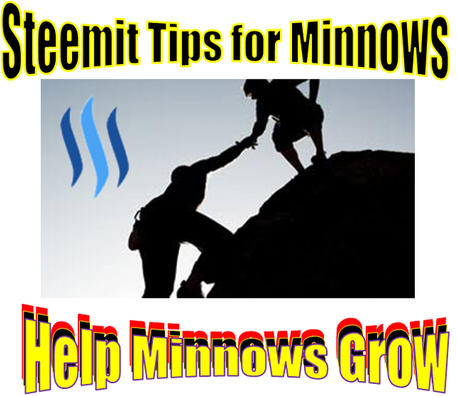 davidad minnows tip picture.png