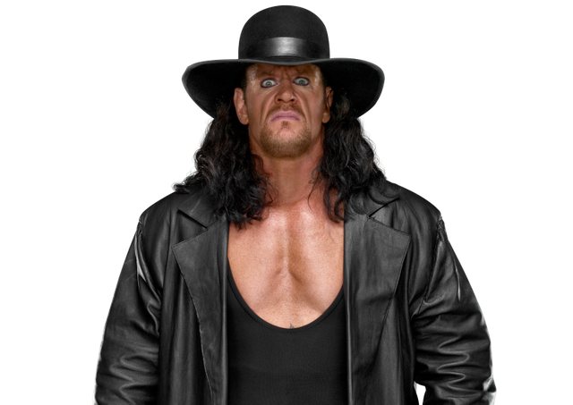 Undertaker_pro.png