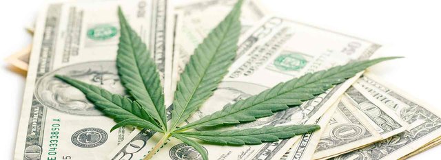 bigstock-the-cannabis-leaf-and-money-99830609DUPE.jpg
