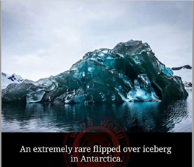 ice berg in antartica.JPG