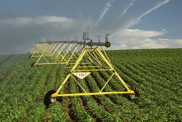 circle-irrigation-spraying-water-on-a-corn-field-picture-id659611149.jpg