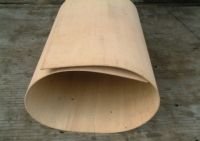 flexible-plywood-bendy-plywood-_b532783-20070515053952.jpg