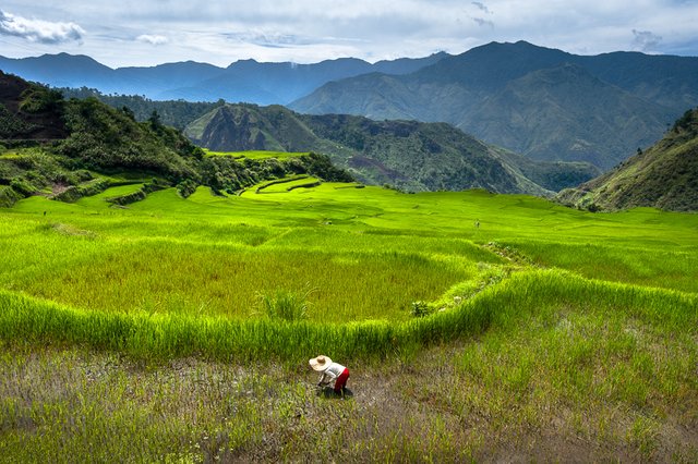 Cordilleras_2089_565834.jpg